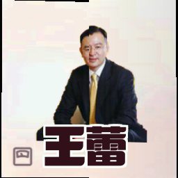 王蕾