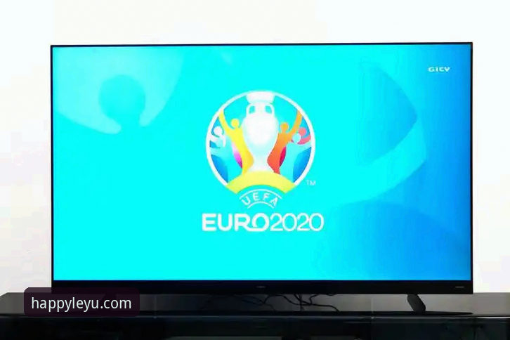 2026乐鱼APP下载全面评测：新一代体育观赛体验的突破性探索